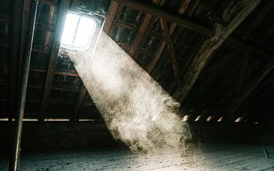 UNDERSTANDING INDOOR AIR QUALITY IN NORTHWEST FLORIDA