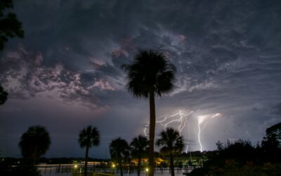 The Power of Protection: Why Florida Panhandle Homes Need Whole-Home Generators